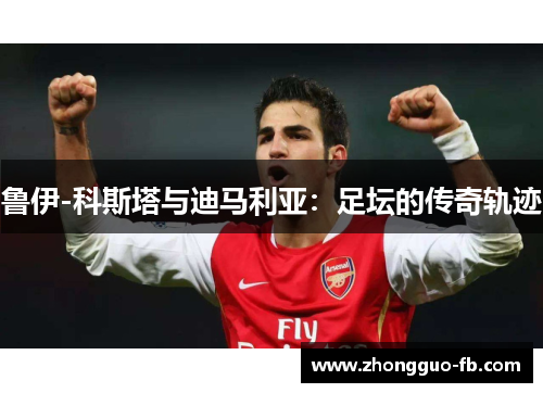 鲁伊-科斯塔与迪马利亚：足坛的传奇轨迹